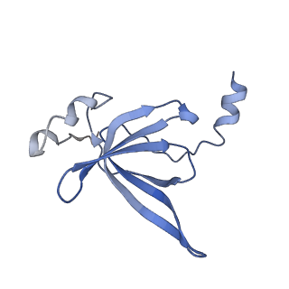 4121_5lza_P_v1-2
Structure of the 70S ribosome with SECIS-mRNA and P-site tRNA (Initial complex, IC)