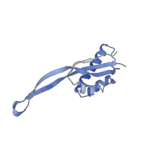 4121_5lza_S_v2-0
Structure of the 70S ribosome with SECIS-mRNA and P-site tRNA (Initial complex, IC)