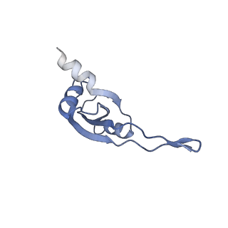4121_5lza_T_v1-2
Structure of the 70S ribosome with SECIS-mRNA and P-site tRNA (Initial complex, IC)