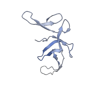 4121_5lza_U_v1-2
Structure of the 70S ribosome with SECIS-mRNA and P-site tRNA (Initial complex, IC)
