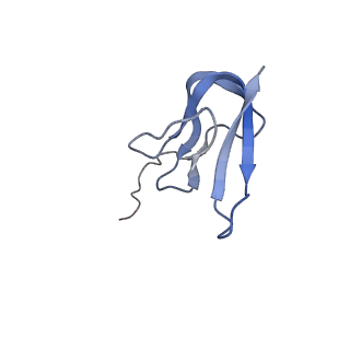 4121_5lza_W_v1-2
Structure of the 70S ribosome with SECIS-mRNA and P-site tRNA (Initial complex, IC)