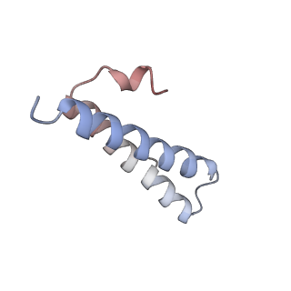 4121_5lza_Y_v1-2
Structure of the 70S ribosome with SECIS-mRNA and P-site tRNA (Initial complex, IC)