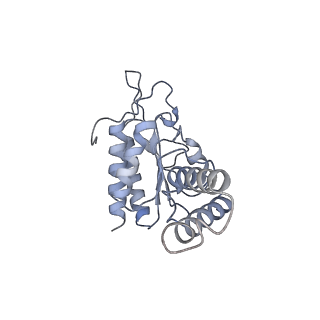 4121_5lza_b_v1-2
Structure of the 70S ribosome with SECIS-mRNA and P-site tRNA (Initial complex, IC)