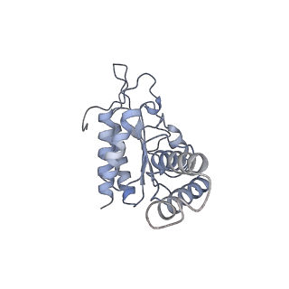 4121_5lza_b_v2-0
Structure of the 70S ribosome with SECIS-mRNA and P-site tRNA (Initial complex, IC)