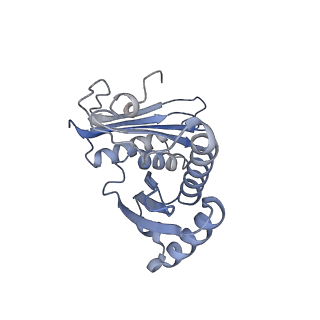 4121_5lza_c_v1-2
Structure of the 70S ribosome with SECIS-mRNA and P-site tRNA (Initial complex, IC)