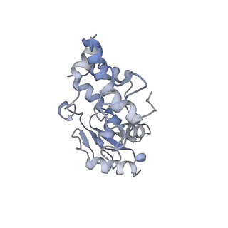 4121_5lza_d_v1-2
Structure of the 70S ribosome with SECIS-mRNA and P-site tRNA (Initial complex, IC)