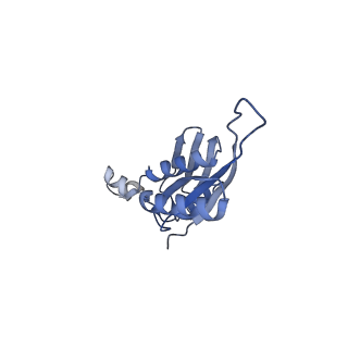 4121_5lza_e_v1-2
Structure of the 70S ribosome with SECIS-mRNA and P-site tRNA (Initial complex, IC)