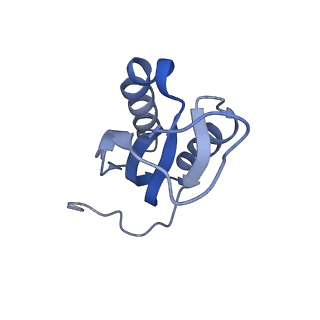 4121_5lza_f_v1-2
Structure of the 70S ribosome with SECIS-mRNA and P-site tRNA (Initial complex, IC)