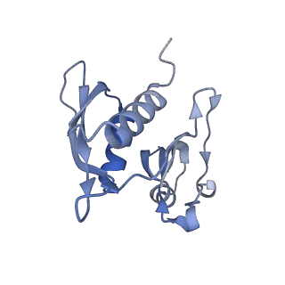 4121_5lza_h_v1-2
Structure of the 70S ribosome with SECIS-mRNA and P-site tRNA (Initial complex, IC)
