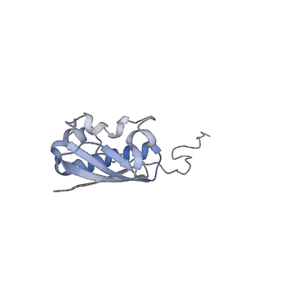 4121_5lza_i_v1-2
Structure of the 70S ribosome with SECIS-mRNA and P-site tRNA (Initial complex, IC)
