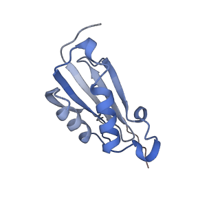 4121_5lza_k_v1-2
Structure of the 70S ribosome with SECIS-mRNA and P-site tRNA (Initial complex, IC)