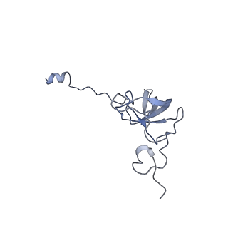 4121_5lza_l_v1-2
Structure of the 70S ribosome with SECIS-mRNA and P-site tRNA (Initial complex, IC)