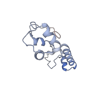 4121_5lza_m_v1-2
Structure of the 70S ribosome with SECIS-mRNA and P-site tRNA (Initial complex, IC)