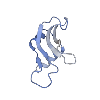 4121_5lza_p_v1-2
Structure of the 70S ribosome with SECIS-mRNA and P-site tRNA (Initial complex, IC)