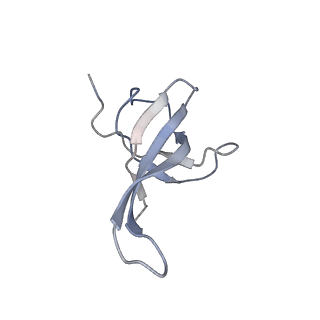 4121_5lza_q_v1-2
Structure of the 70S ribosome with SECIS-mRNA and P-site tRNA (Initial complex, IC)