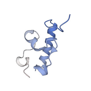 4121_5lza_r_v1-2
Structure of the 70S ribosome with SECIS-mRNA and P-site tRNA (Initial complex, IC)