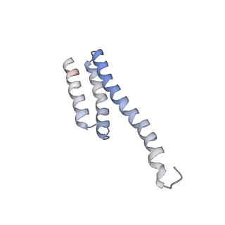 4121_5lza_t_v1-2
Structure of the 70S ribosome with SECIS-mRNA and P-site tRNA (Initial complex, IC)