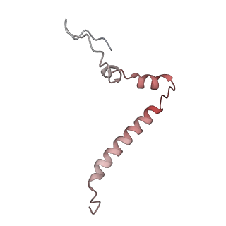 4121_5lza_u_v1-2
Structure of the 70S ribosome with SECIS-mRNA and P-site tRNA (Initial complex, IC)