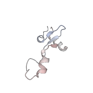 4123_5lzc_3_v1-2
Structure of SelB-Sec-tRNASec bound to the 70S ribosome in the codon reading state (CR)