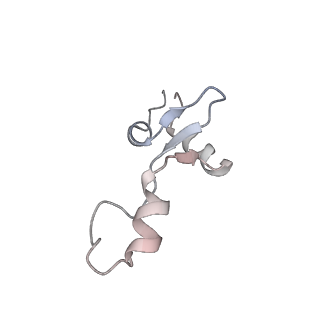 4123_5lzc_3_v2-0
Structure of SelB-Sec-tRNASec bound to the 70S ribosome in the codon reading state (CR)