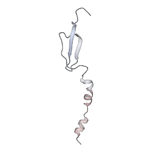 4123_5lzc_6_v1-2
Structure of SelB-Sec-tRNASec bound to the 70S ribosome in the codon reading state (CR)
