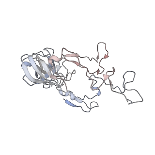4123_5lzc_C_v1-2
Structure of SelB-Sec-tRNASec bound to the 70S ribosome in the codon reading state (CR)