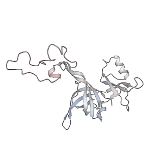 4123_5lzc_D_v1-2
Structure of SelB-Sec-tRNASec bound to the 70S ribosome in the codon reading state (CR)