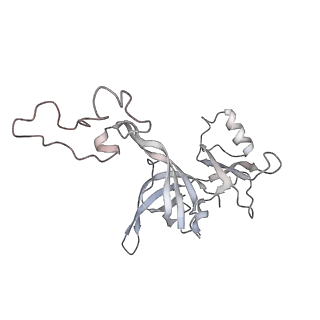4123_5lzc_D_v2-0
Structure of SelB-Sec-tRNASec bound to the 70S ribosome in the codon reading state (CR)