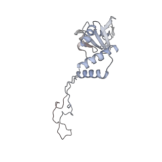4123_5lzc_E_v1-2
Structure of SelB-Sec-tRNASec bound to the 70S ribosome in the codon reading state (CR)