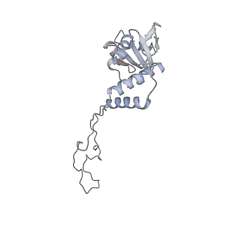 4123_5lzc_E_v2-0
Structure of SelB-Sec-tRNASec bound to the 70S ribosome in the codon reading state (CR)