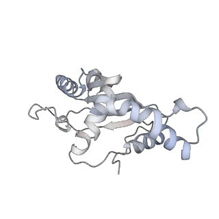4123_5lzc_F_v1-2
Structure of SelB-Sec-tRNASec bound to the 70S ribosome in the codon reading state (CR)