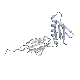 4123_5lzc_G_v1-2
Structure of SelB-Sec-tRNASec bound to the 70S ribosome in the codon reading state (CR)