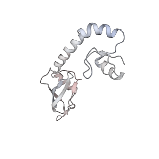 4123_5lzc_H_v1-2
Structure of SelB-Sec-tRNASec bound to the 70S ribosome in the codon reading state (CR)