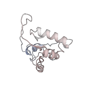 4123_5lzc_I_v1-2
Structure of SelB-Sec-tRNASec bound to the 70S ribosome in the codon reading state (CR)