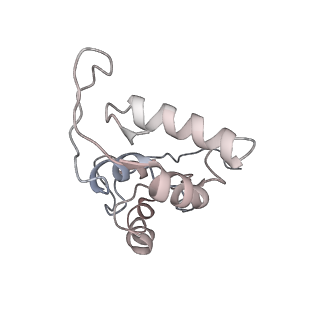 4123_5lzc_I_v2-0
Structure of SelB-Sec-tRNASec bound to the 70S ribosome in the codon reading state (CR)