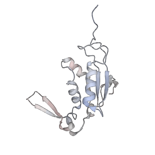 4123_5lzc_J_v1-2
Structure of SelB-Sec-tRNASec bound to the 70S ribosome in the codon reading state (CR)
