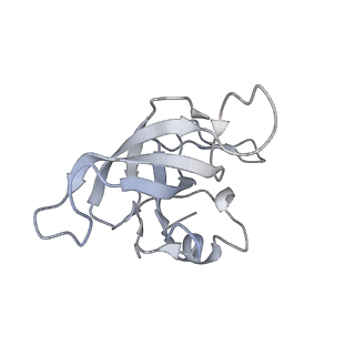 4123_5lzc_K_v1-2
Structure of SelB-Sec-tRNASec bound to the 70S ribosome in the codon reading state (CR)