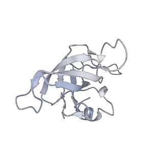 4123_5lzc_K_v2-0
Structure of SelB-Sec-tRNASec bound to the 70S ribosome in the codon reading state (CR)