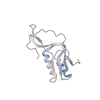 4123_5lzc_M_v1-2
Structure of SelB-Sec-tRNASec bound to the 70S ribosome in the codon reading state (CR)