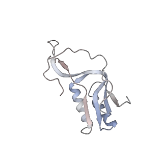4123_5lzc_M_v2-0
Structure of SelB-Sec-tRNASec bound to the 70S ribosome in the codon reading state (CR)