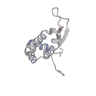 4123_5lzc_N_v1-2
Structure of SelB-Sec-tRNASec bound to the 70S ribosome in the codon reading state (CR)