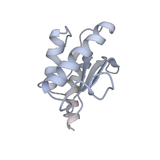 4123_5lzc_O_v1-2
Structure of SelB-Sec-tRNASec bound to the 70S ribosome in the codon reading state (CR)