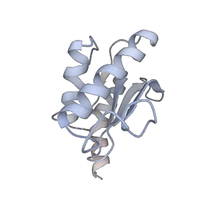 4123_5lzc_O_v2-0
Structure of SelB-Sec-tRNASec bound to the 70S ribosome in the codon reading state (CR)