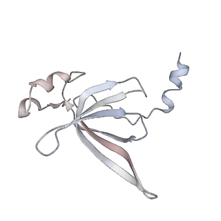 4123_5lzc_P_v1-2
Structure of SelB-Sec-tRNASec bound to the 70S ribosome in the codon reading state (CR)