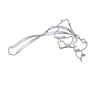 4123_5lzc_R_v1-2
Structure of SelB-Sec-tRNASec bound to the 70S ribosome in the codon reading state (CR)
