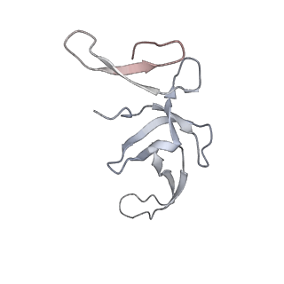 4123_5lzc_U_v1-2
Structure of SelB-Sec-tRNASec bound to the 70S ribosome in the codon reading state (CR)