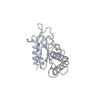 4123_5lzc_b_v1-2
Structure of SelB-Sec-tRNASec bound to the 70S ribosome in the codon reading state (CR)