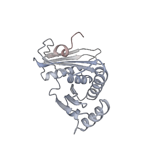 4123_5lzc_c_v1-2
Structure of SelB-Sec-tRNASec bound to the 70S ribosome in the codon reading state (CR)