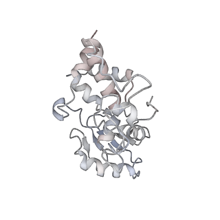 4123_5lzc_d_v1-2
Structure of SelB-Sec-tRNASec bound to the 70S ribosome in the codon reading state (CR)