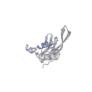 4123_5lzc_e_v1-2
Structure of SelB-Sec-tRNASec bound to the 70S ribosome in the codon reading state (CR)